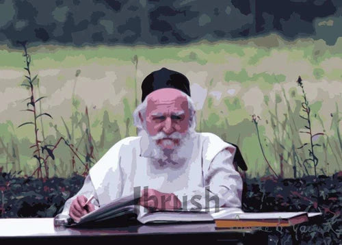 Paint By Number - R' Moshe Feinstein