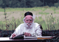 Paint By Number - R' Moshe Feinstein
