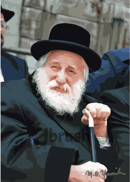Front cover of Paint By Number - Skulener Rebbe