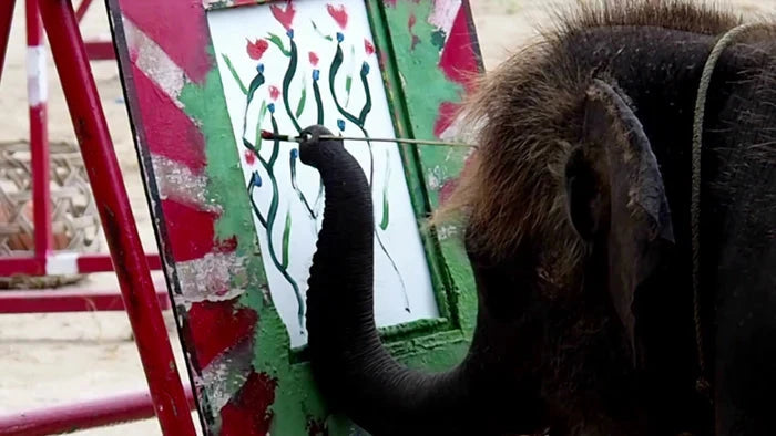 Perek Shira Series: Elephants [Video]