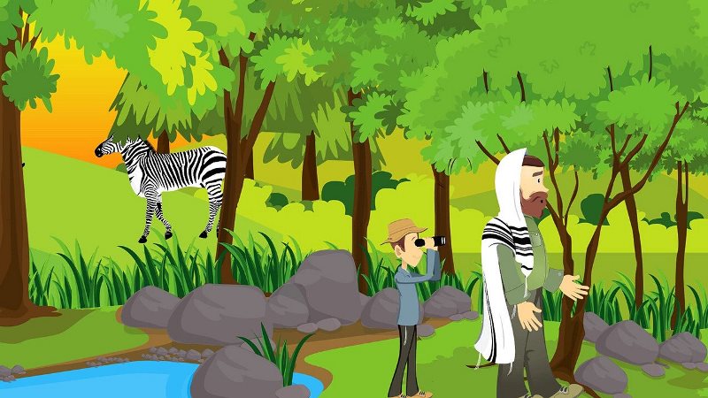Wonders of Hashem 1 - Safari Adventure (DVD)
