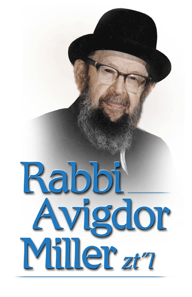 Rabbi Avigdor Miller DVDs 1