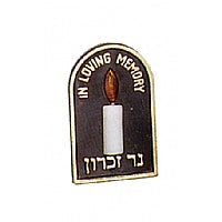 Memorial Plugin Light -Case of 12