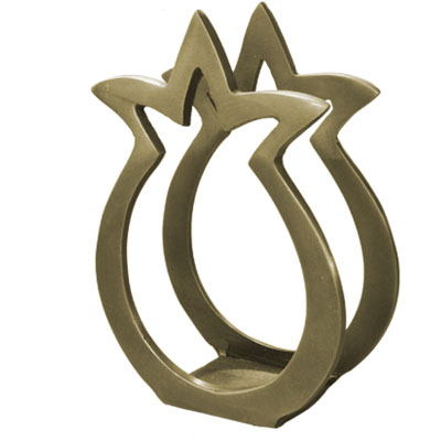 Aluminum Napkin Holder Pomegranate Shape