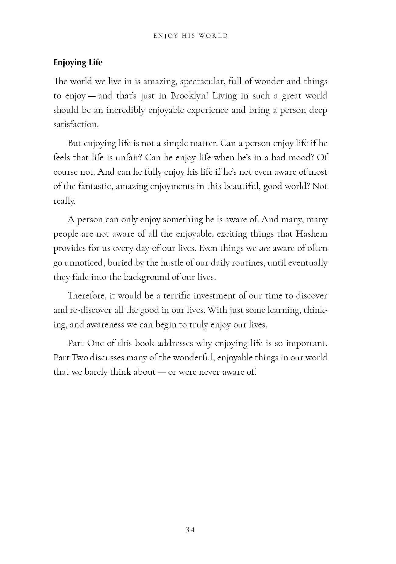 Enjoy His World by Rabbi Yehuda Schonfeld ﻿ — Judaica Press (image 12)