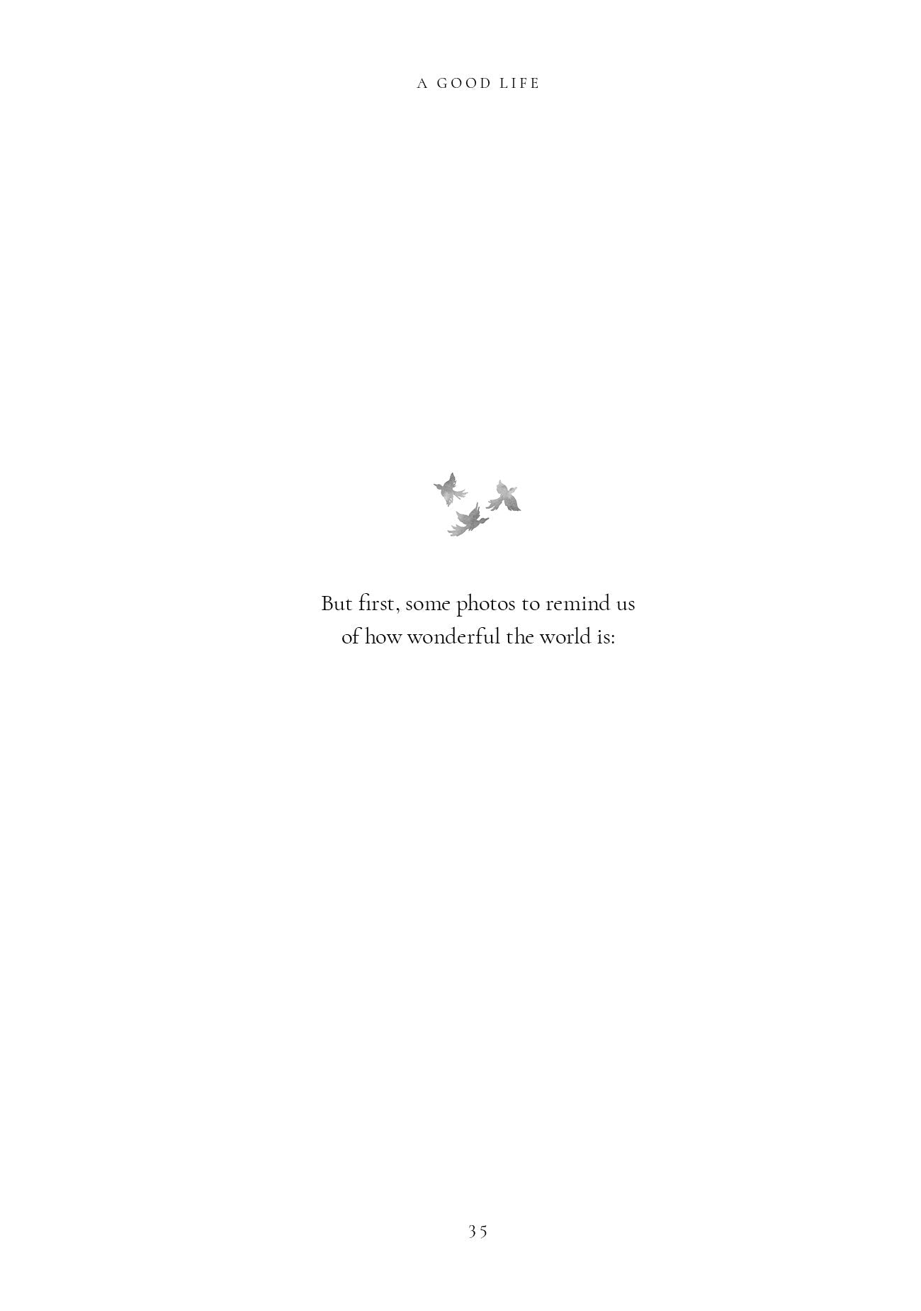 Enjoy His World by Rabbi Yehuda Schonfeld ﻿ — Judaica Press (image 13)