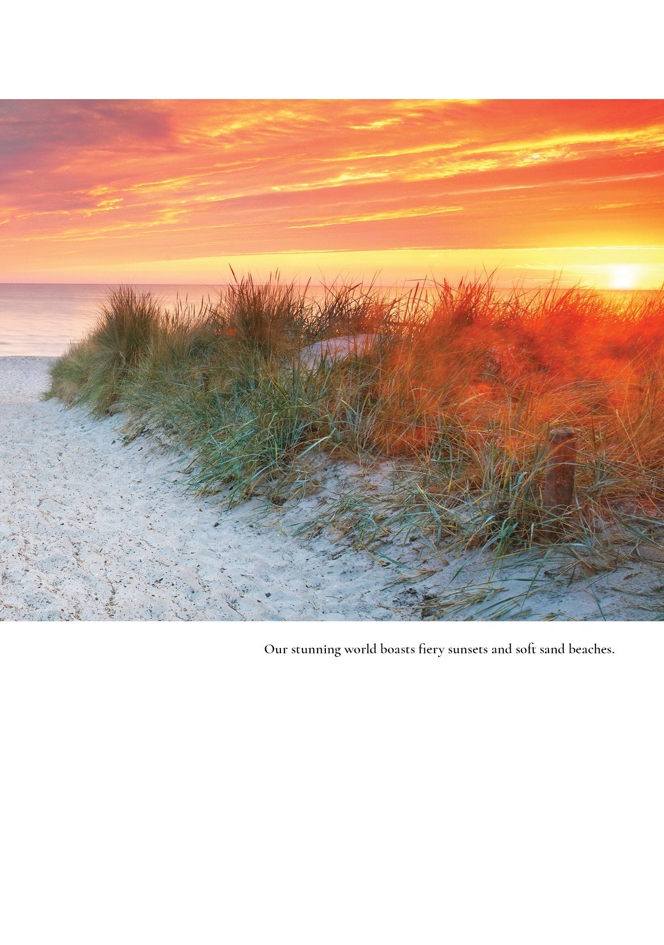 Enjoy His World by Rabbi Yehuda Schonfeld ﻿ — Judaica Press (image 15)