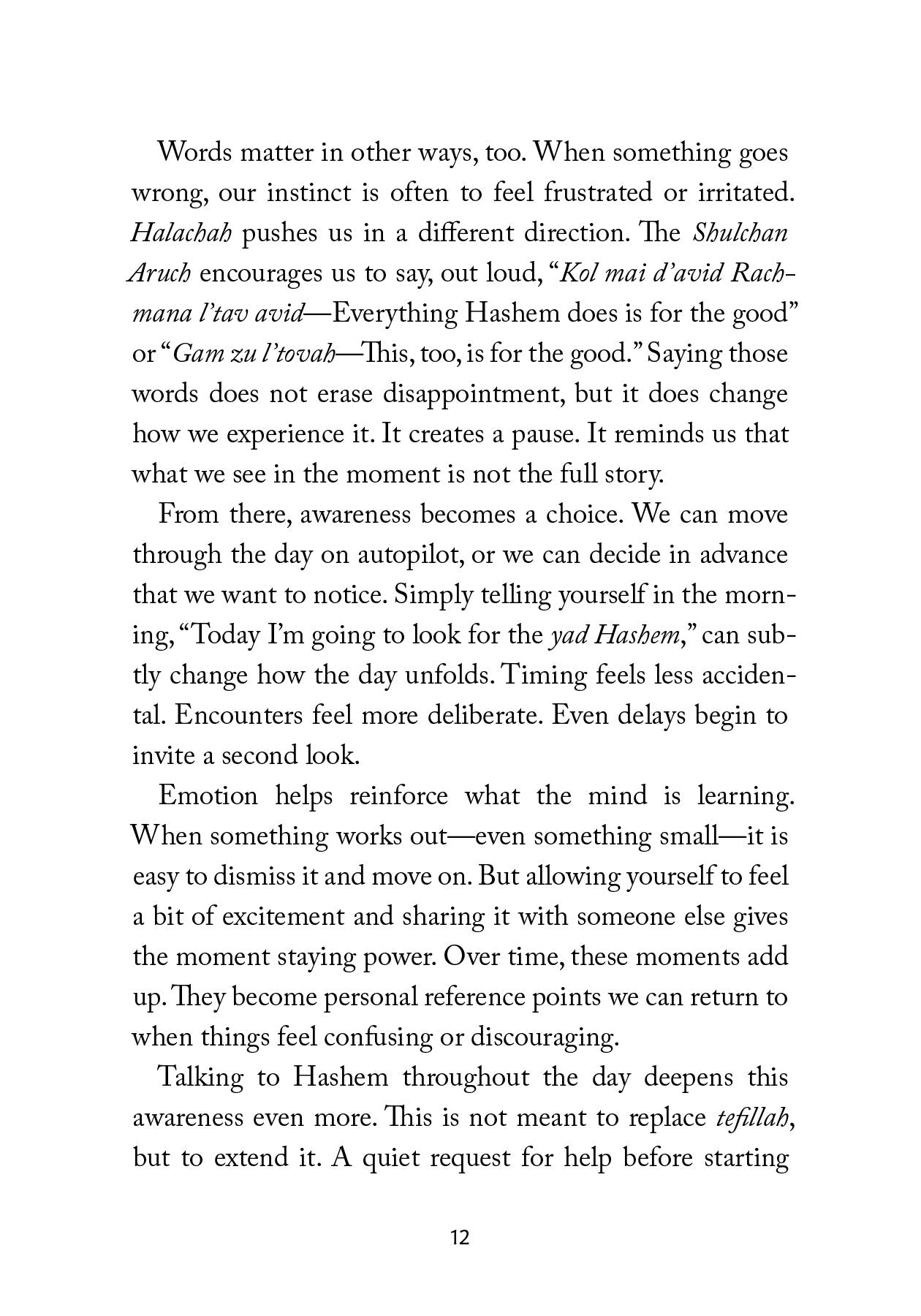 Eyes Open by Rabbi Symcha Zylberberg — Judaica Press (image 3)