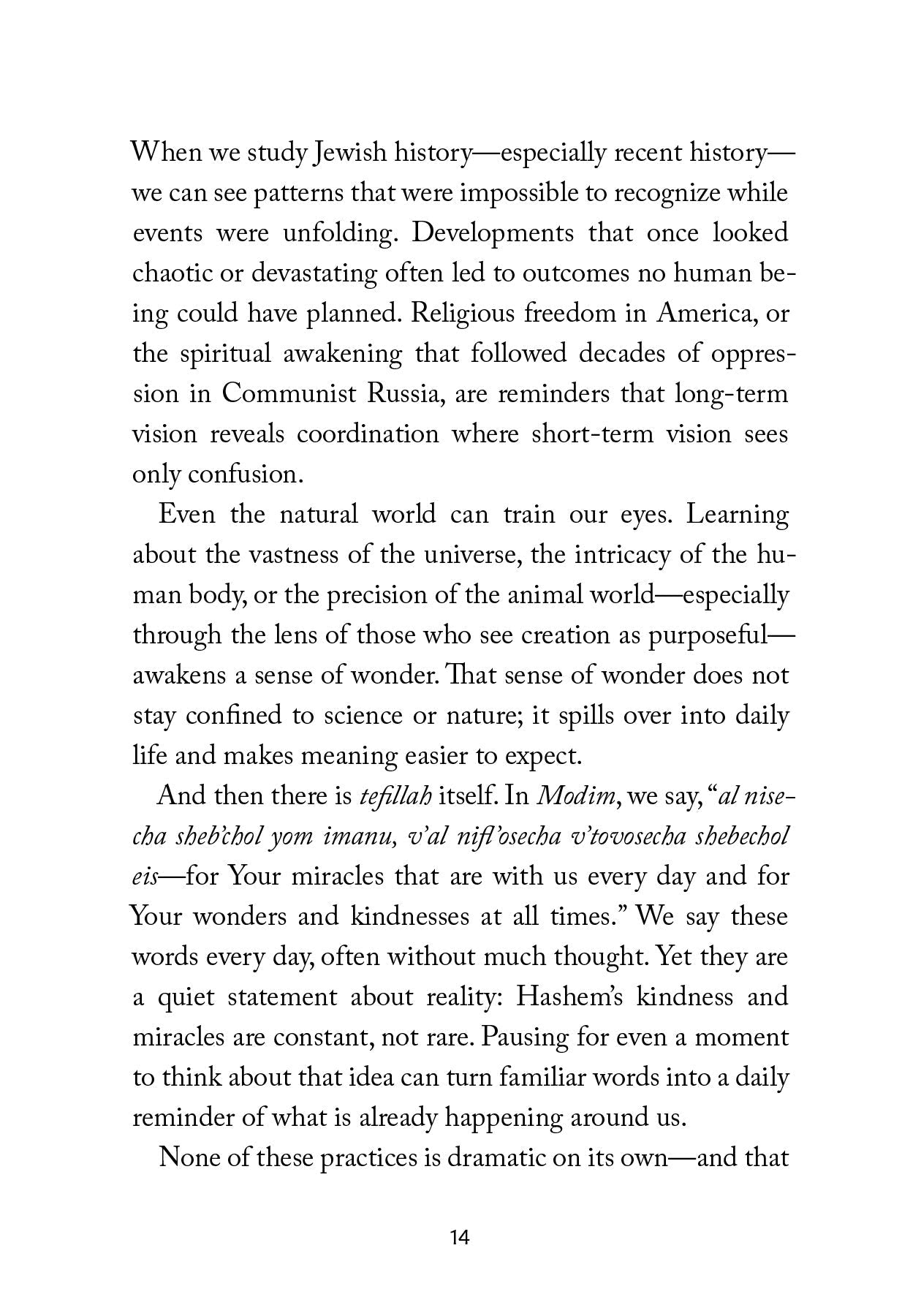 Eyes Open by Rabbi Symcha Zylberberg — Judaica Press (image 5)