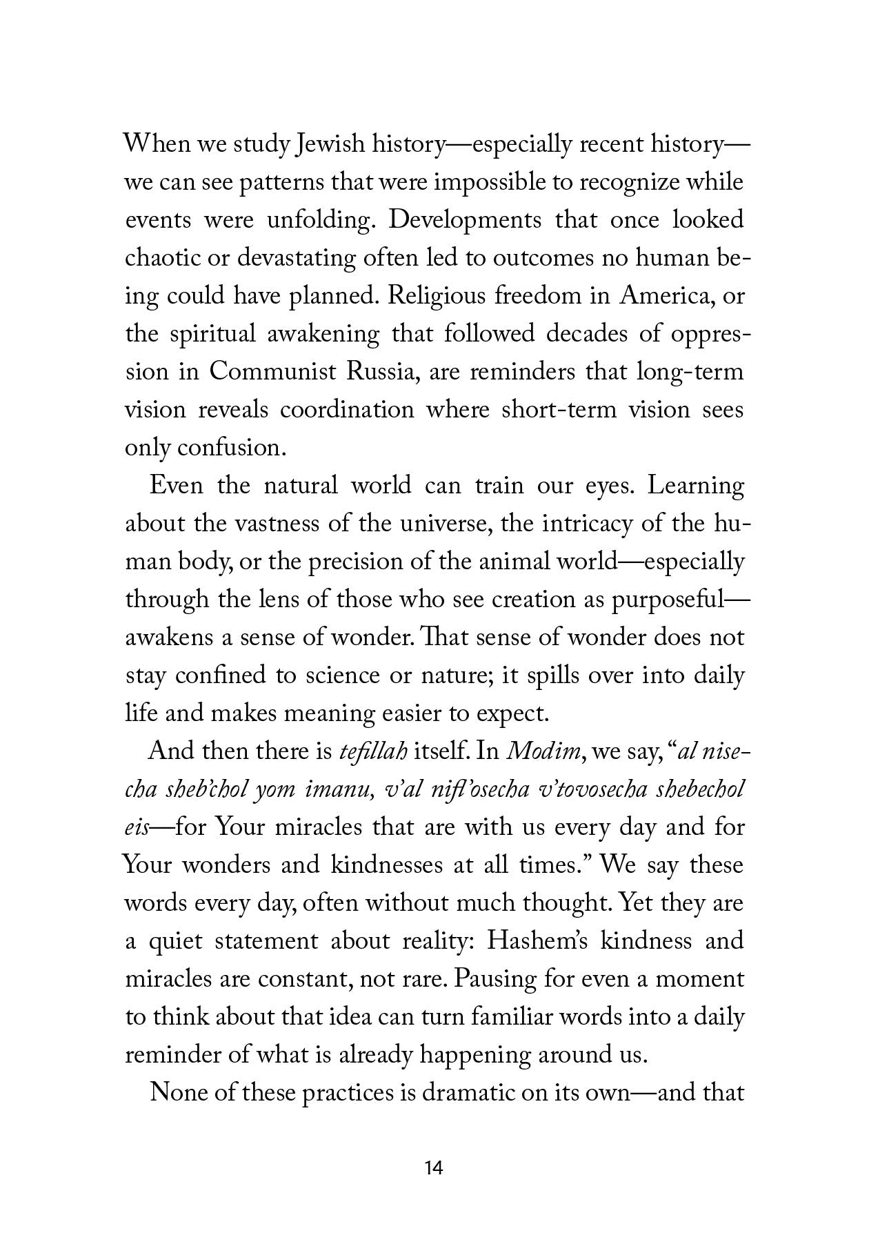 Eyes Open by Rabbi Symcha Zylberberg — Judaica Press (image 5)