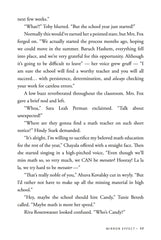 Mirror Effect - A Teen Novel
