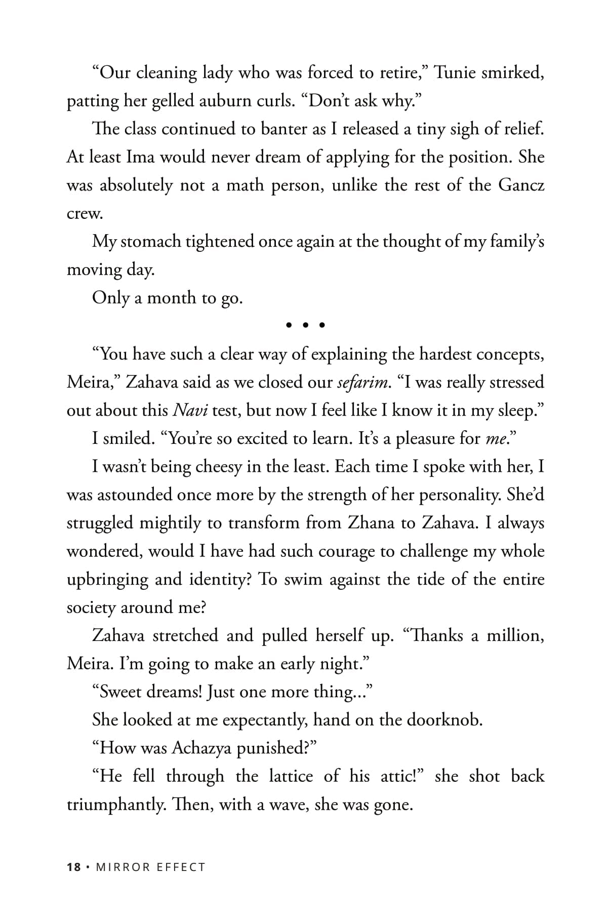 Mirror Effect - A Teen Novel