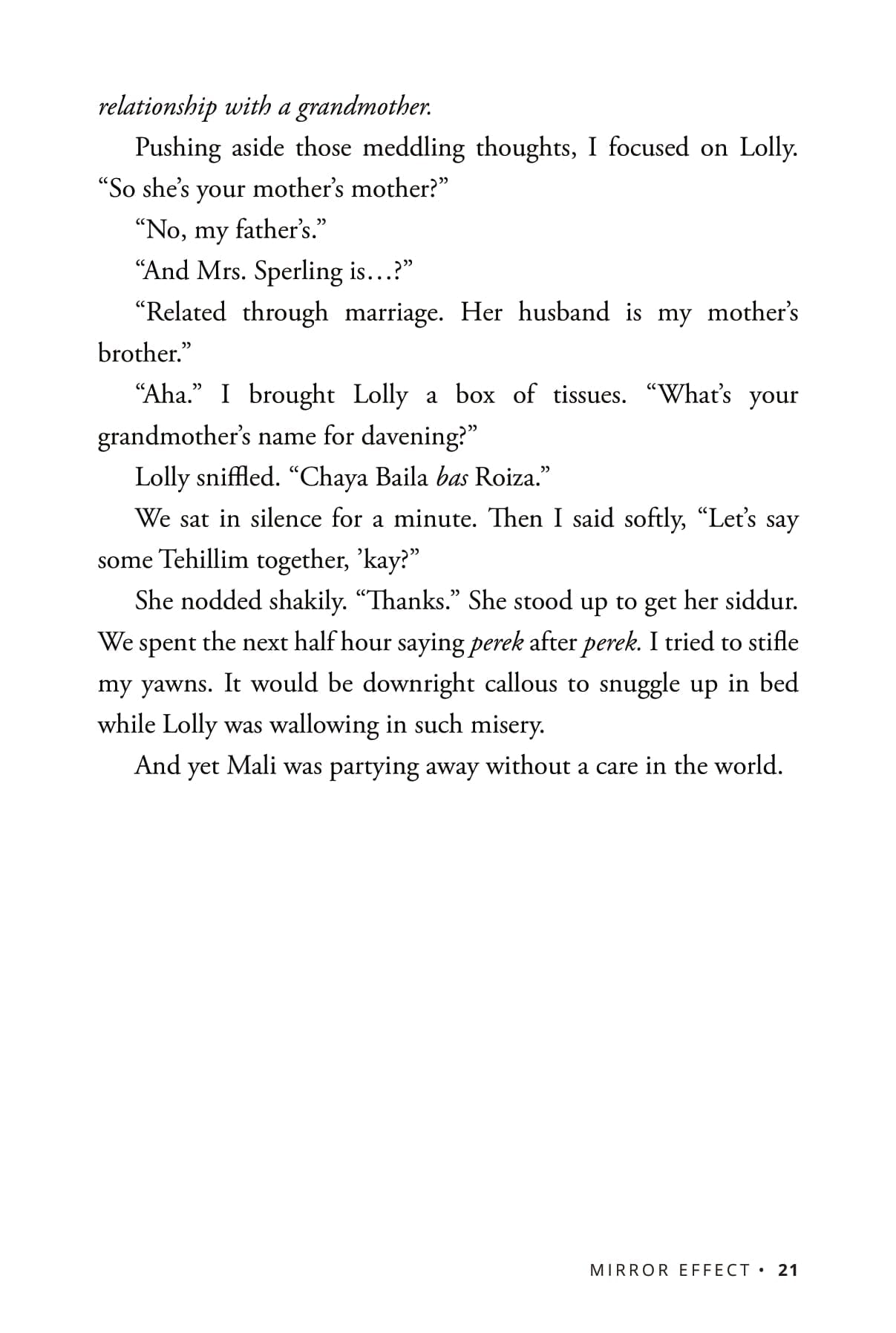 Mirror Effect - A Teen Novel