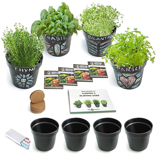 Pails and Buckets Herb Gardening Kit for Kids - Complete STEM Set — product view | Judaica Square Lakewood