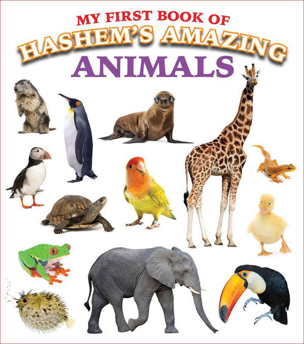 My First Book of Hashem's Amazing Animals — Judaica Press