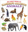 My First Book of Hashem's Amazing Animals — toddler animal board book | Judaica Square Lakewood