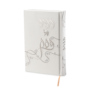Custom haggadah cover design 930 | Judaica Square Lakewood