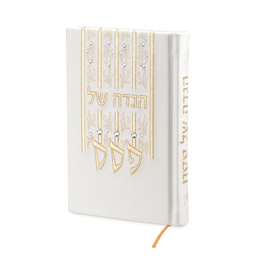 Custom haggadah cover design 960 | Judaica Square Lakewood