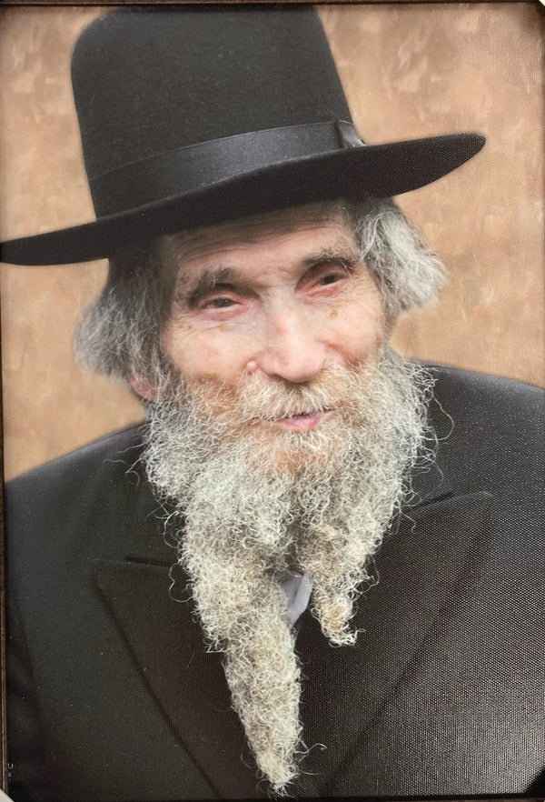 Reb Shteinman 17" x 23"  Framed Canvas (J30017MD)