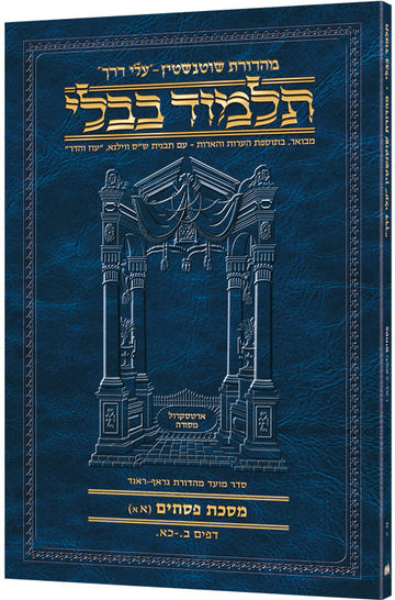Pesachim 1A (#9a) Schottenstein Hebrew Talmud Travel — Pesachim paperback | Judaica Square Lakewood