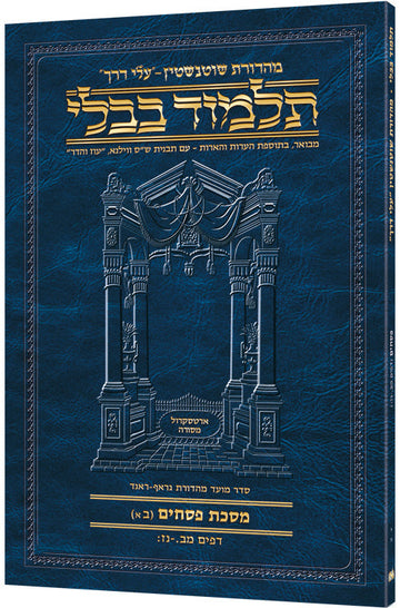 Hebrew Pesachim 2A Travel — Pesachim paperback | Judaica Square Lakewood