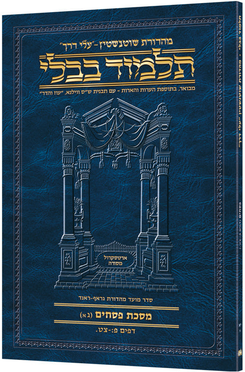 Hebrew Pesachim 3A Travel — Pesachim paperback | Judaica Square Lakewood