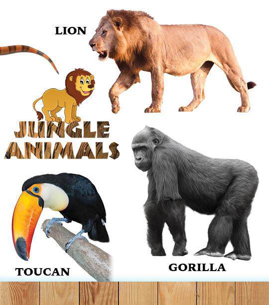 My First Book of Hashem's Amazing Animals — Judaica Press (image 8)