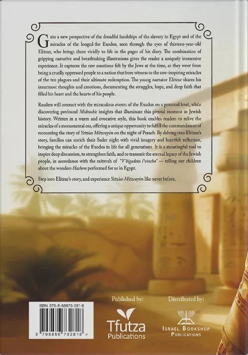 Elitzur's Diary in Egypt