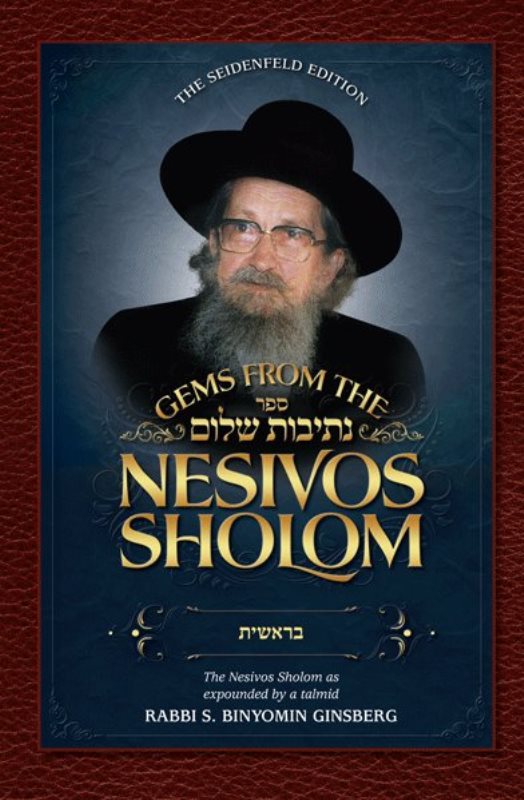Front cover of Gems from the Nesivos Shalom: Bereishis: Messages and lessons from Sefer Bereishis by Rabbi S. Binyomin Ginsberg