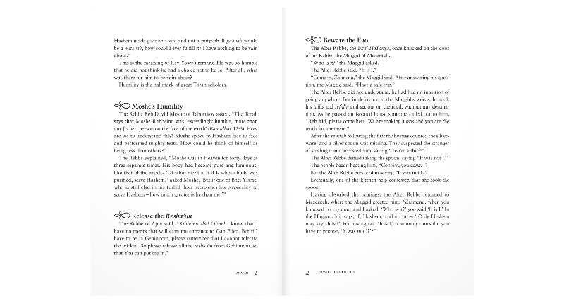 Chassidic Torah Tidbits