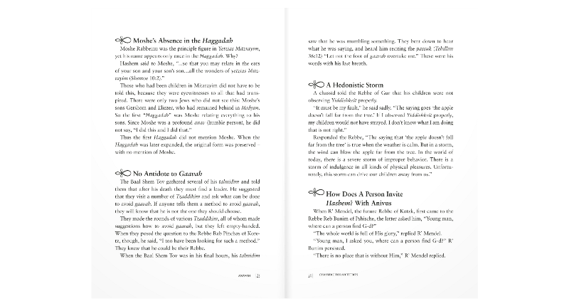 Chassidic Torah Tidbits
