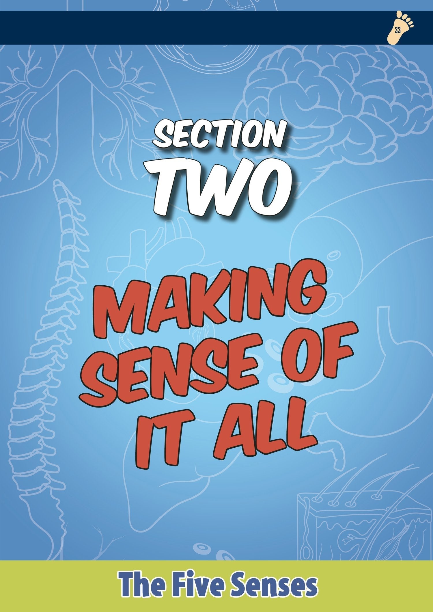Exploring the Wonders of the Human Anatomy