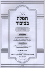 Sefer Tefillah B'Tzibur B'Halacha - ספר תפילה בציבור בהלכה
