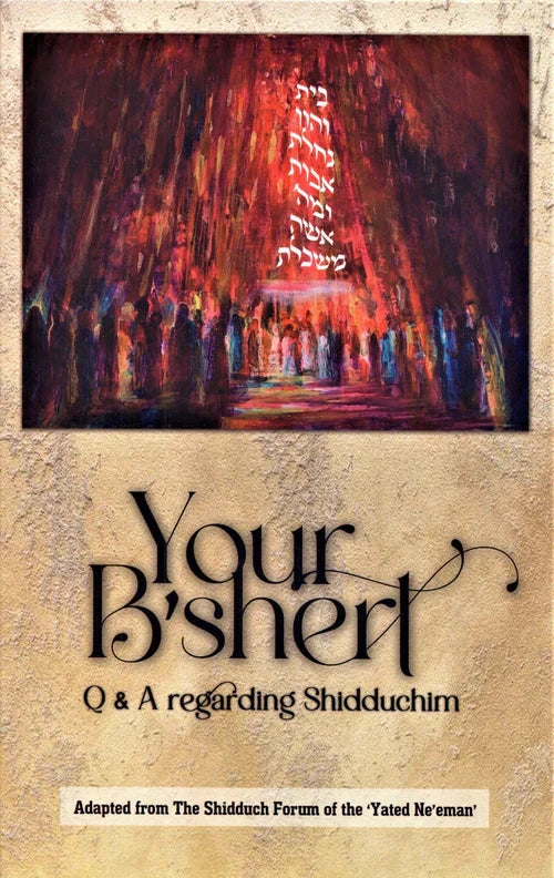 Front cover of Your B'Shert