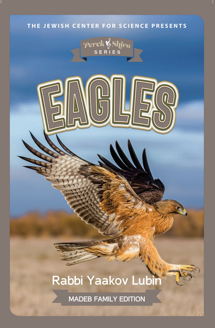 Perek Shira Series: Eagles — illustrated children's book by Rabbi Yaakov Lubin | Judaica Square Lakewood