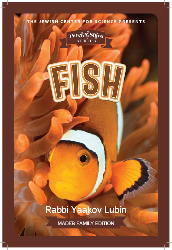 Perek Shira Series: Fish — illustrated children's book by Rabbi Yaakov Lubin | Judaica Square Lakewood