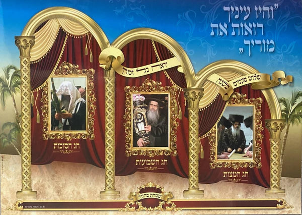 Laminated Poster 20" x 28"-- Satmar Williamsburg (P893)