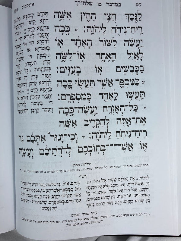 חמשה חומשי תורה אור שרגא סט 5 כרכים רש"י מנוקד (BK-COS5V)