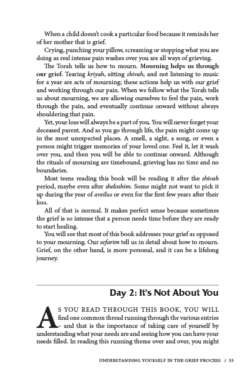 I Wish Someone Would Have Told Me by Miriam Ribiat with Tali Arieff, LCSW, RPT — Judaica Press (image 10)