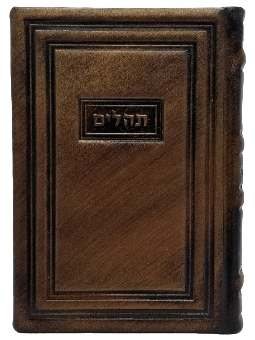 Front cover of the medium Tehillim Lehavanah, antique leather in Antique Border Bronze