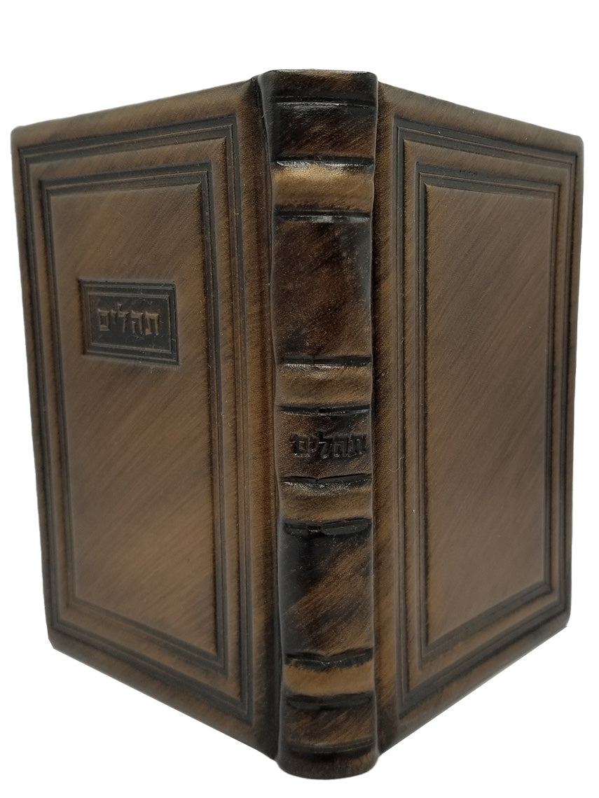 Cover and spine of the medium Tehillim Lehavanah, antique leather in Antique Border Bronze