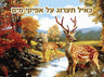 Crystal Crafts Deer — Craft Kit by Chazak Kinder | Judaica Square Lakewood
