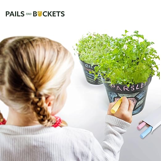 Pails and Buckets Herb Gardening Kit for Kids - Complete STEM Set — product view, view 2 | Judaica Square Lakewood