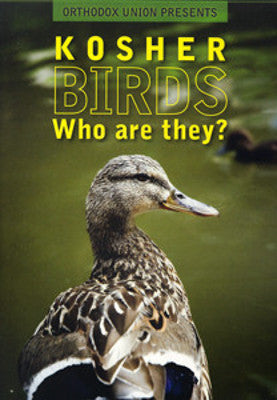 Orthodox Union - Kosher Birds: Who are they? (DVD) — Jewish music DVD | Judaica Square Lakewood
