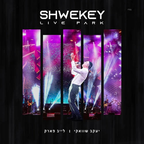 Yaakov Shwekey - Live Park (Video USB)