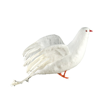 7" white Dove - price per dozen