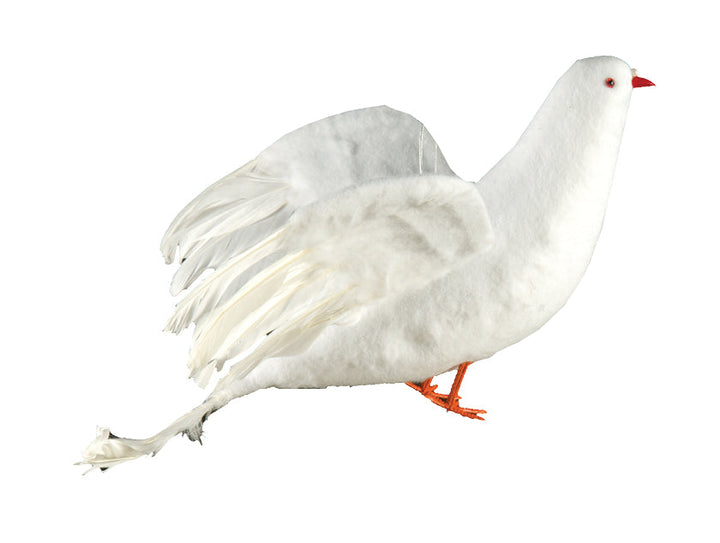 18" white Dove