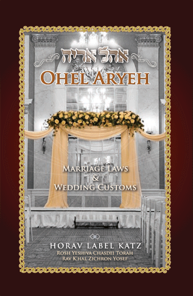 Ohel Aryeh — book | Judaica Square Lakewood