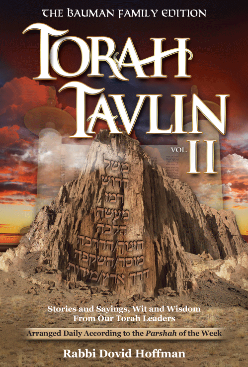 Front cover of Torah Tavlin II: Stories and Sayings, Wit and Wisdom From Our Torah Leaders by Rabbi Dovid Hoffman