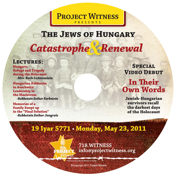 DVD cover art for Project Witness DVD: Catastrophe & Renewal by Project Witness